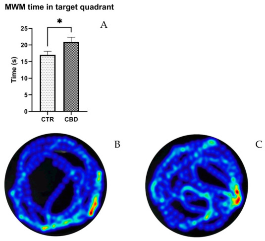 Results of the Morris Water Maze test (MWM) for spatial memory. (A) Time in target quadrant. (B,C) Heatmap of paths. The results are presented as the mean ± SEM. * p < 0.05.