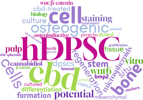 Word cloud representing the articles included. The more frequently the word was mentioned across the included articles, the bigger it appears in the word cloud.