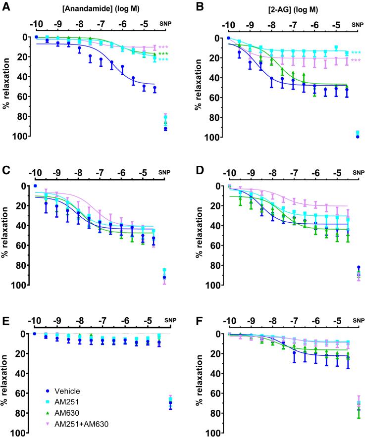 Relaxations of preconstricted chorionic plate arteries to endogenous cannabinoid receptor agonists.Arteries obtained from healthy term (A and B, n=9), early onset preeclampsia (C and D, n=5–6) and cannabis user (E and F, n=5) placentas were exposed to anandamide and 2-arachidonoylglycerol (2-AG) in the absence (vehicle) or presence of the cannabinoid receptor type 1 receptor antagonist AM251, the cannabinoid receptor type 2 receptor antagonist AM630, or AM251+AM630. The graphs also show the maximal relaxant response to 100 µmol/L sodium nitroprusside (SNP) obtained after finalization of the concentration-response curves. ***P<0.001 vs vehicle (general linear model; repeated measures).