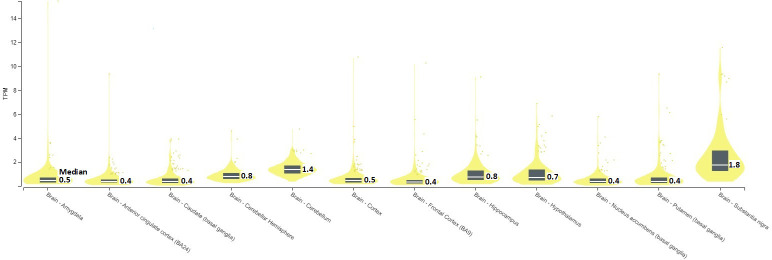 SERINC2 mRNA expression in brains [TPM, Transcripts Per Million; Median, median TPM value; TPM>1 indicates the presence of mRNA expression].