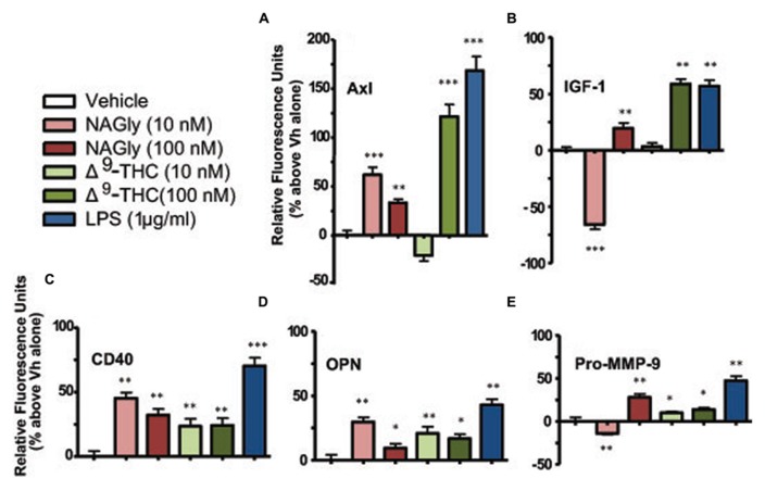Levels of cytokine production after 3 h treatment in BV-2 microglia. (A) Axl, (B) IGF-1, (C) CD40, (D) OPN, (E) Pro-MMP-9. NAGly (10 nM and 100 nM) and Δ9-THC (10 nM and 100 nM). n = 4–5. *p < 0.05, **p < 0.01, ***p < 0.001 (One-way ANOVA).