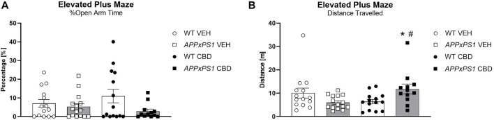 Increased locomotion but unaltered anxiety-like behaviour in APPxPS1 mice in the elevated plus maze test, following long-term CBD. (A) Distance travelled [m] and (B) percentage of open arm time [%] in the elevated plus maze test in APPxPS1 and WT mice treated daily with 20 mg/kg CBD for 8 months. A main effect of “genotype” (p = 0.04) was detected in (A). A “genotype” x “treatment” interaction (p = 0.004) was detected in (B). Data were analysed using two-way RM ANOVA and presented as mean ± SEM. When data were split by the corresponding factor, significant “genotype” effects in CBD-treated mice are indicated by asterisks (*p < 0.05, vs. WT CBD), and significant “treatment” effects in APPxPS1 mice are indicated by hash symbols (# p < 0.05, vs. APPxPS1 VEH). N = 14 WT VEH, 15 APPxPS1 VEH, 14 WT CBD, and 12 APPxPS1 CBD. Abbreviations: APPxPS1: amyloid precursor protein x presenilin 1; CBD: cannabidiol; VEH: vehicle; WT: wildtype-like.