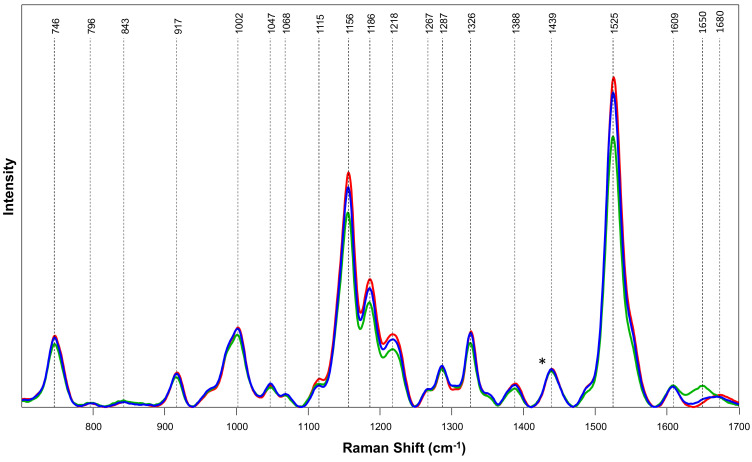 Averaged Raman spectra collected from leaves of male (blue), female (red), and hermaphrodite (green) plants. For each spectrum, 50–77 individual spectra collected from leaves of plants were averaged. Vibrational bands that correspond to certain chemicals present in the leaves are labeled and discussed in Table 1.