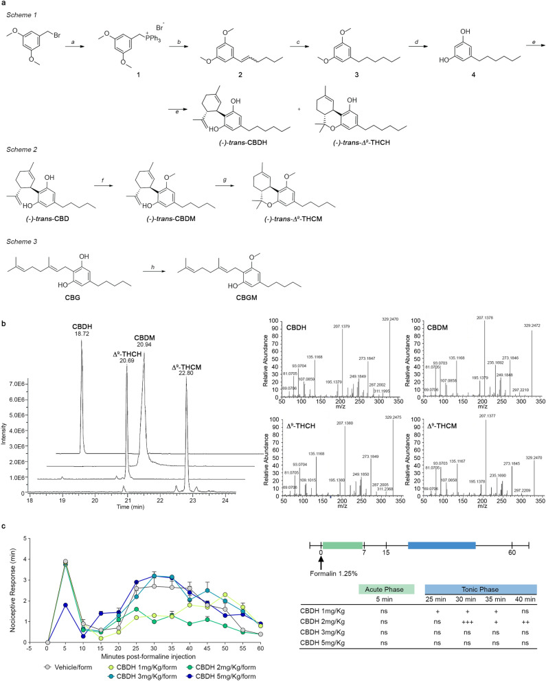 Synthesis and UHPLC-HRMS identification of CBDH, CBDM, Δ9-THCH and Δ9-THCM, and in vivo activity of CBDH. (A) Scheme 1. Reagents and conditions: (a) triphenylphosphine (1.1 equiv.), toluene, reflux, 6 h, quant. yield; (b) valeraldehyde (1.5 equiv.), 0.1 M K2CO3 aq. (10 mL per mmol of 1), reflux, 5 h, 81% yield; (c) H-Cube ThalesNano H2-Pd/C, EtOH, 30 °C, 20 bar, 1 mL/min, 91% yield; (d) BBr3 1 M in DCM (2.2 eq.), anhydrous DCM, N2 atmosphere, − 15 °C → r.t, 24 h, quant. yield; (e) (1S,4R)-1-methyl-4-(prop-1-en-2-yl)cycloex-2-enol (0.9 equiv.), pTSA (0.1 equiv.), DCM, r.t., argon, 2 h, 17% yield for (−)-trans-CBDH and 20% yield for (−)-trans-Δ9-THCH. Scheme 2. Reagents and conditions: dimethylsulphate (0.5 equiv.), K2CO3 (1 equiv.), DMF, r.t. 62% yield for (−)-trans-CBDM and 57% yield for CBGM. Scheme 3. Reagents and conditions: p-TSA (0.1 equiv.), dry DCM, r.t., 1 h, 43% yield. (B) Superimposition of extracted UHPLC-HRMS ion chromatograms (EICs) of synthetic cannabinoid n-hexyl and monomethyl ether homologs. and relative fragmentation spectra, in positive ionization mode. EICs were chosen based on the exact mass calculated for C23H32O4. (C) Effects of CBDH (1, 2, 3, and 5 mg/kg, i.p.) or vehicle in the formalin test in mice. The total time of the nociceptive response was measured every 5 min and expressed in min (see “Experimental” section). Data are represented as means ± SEM (n = 5–6). +,+++indicate statistically significant differences versus veh/form, p < 0.05 and p < 0.001, respectively. 2-way ANOVA followed by Bonferroni’s post hoc tests was used for statistical analysis.