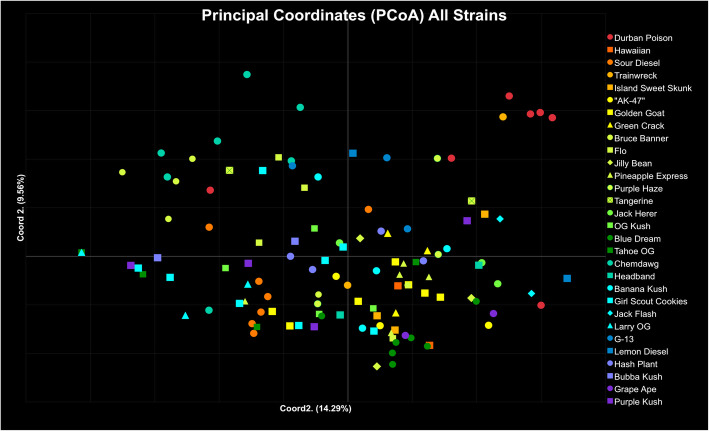 Principal Coordinates Analysis (PCoA) generated in GENALEX using Nei’s genetic distance matrix. Samples are a color-coded continuum by proportion of Sativa (Table 1) with the strain name given for each sample: Sativa type (red: 100% Sativa proportion, Hybrid type (dark green:50% Sativa proportion), and Indica type (purple: 0% Sativa proportion). Different symbols are used to indicate different strains within reported phenotype. Coordinate axis 1 explains 14.29% of the variation, coordinate axis 2 explains 9.56% of the variation, and Coordinate axis 3 (not shown) explains 7.07%