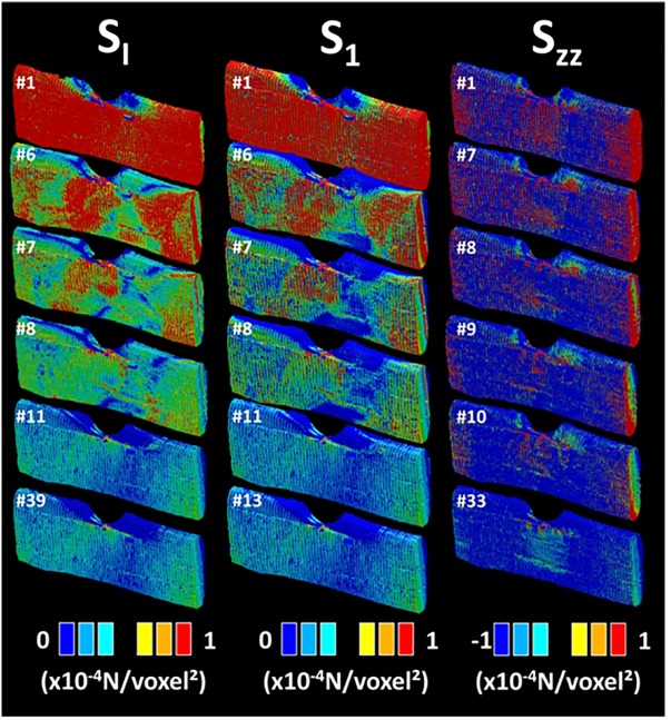 Finite element computation results showing the stress distribution evolution as a function of the load level for different damage criteria: SI, S1, and σZZ (U-notch bundle FXU4). The load level label is indicated for each sequence.