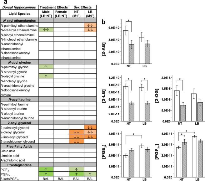 Endocannabinoid and related lipid quantification for the dorsal hippocampus region. (a) Effects for all measured lipids. Columns represent treatment- and sex-specific effects, showing changes to the limited bedding group in relation to the no treatment group (LB:NT) or changes in males in relation to females (M:F). Number of arrows represents fold-change: up-arrow (green) is increase, down-arrow (orange) is decrease; ↑ = 0-0.49-fold change, ↑↑ = 0.5-0.99-fold change. Color scheme represents significance, with full colors indicating significance at LSD-corrected p < 0.05 and shaded colors indicating a trending significance. BAL = below analytical limits. (b) Specific effects on lipids of interest. Y-axis indicates concentration of lipid of interest while x-axis represents limited bedding (LB) and no treatment (NT) groups. *LSD-corrected p < 0.05.