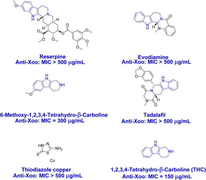 The chemical structural formula and MIC value of THC analogues and thiodiazole copper.