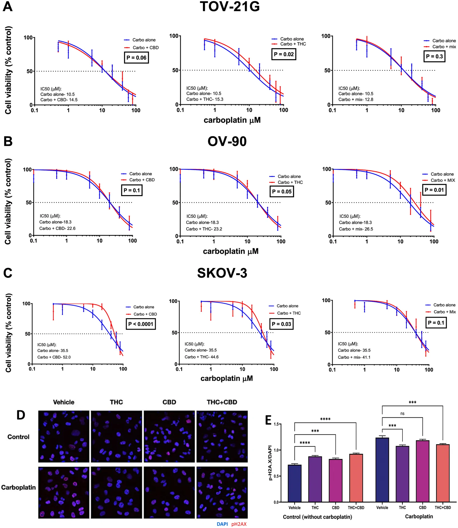 Assessment of the modulatory effect of cannabinoids on the efficacy of carboplatin. Comparison of the IC50 value of carboplatin in the presence of each suboptimal cannabinoid vs carboplatin alone for TOV-21G (A), OV-90 (B), and SKOV-3 (C) cell lines. (D) represents the immunofluorescence pattern of TOV-21G cells after treatment with suboptimal levels of cannabinoids or vehicle (ethanol) with or without carboplatin at its IC50 concentration. (E) represents the fluorescence intensity ratio of pH2A.X, representing DNA damage, normalized to DAPI, representing total DNA. Results were generated from scans of 3 ibidi 8-well μ-slides.