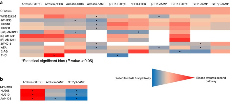 Heatmap of ΔΔlogR values resulting from the operational analysis.The operational analysis was performed using the procedure described in the Supplementary Information, with data obtained from three independent experiments performed in duplicate. Dark blue indicates bias towards the first pathway, while dark red indicates bias towards the second pathway. White boxes are not determined. (a) The operational analysis on hCB2R was done with all agonists, except HU210, which was tested in only two functional assays due to legal restrictions. Because of error propagation in the analysis, only a few were found to be statistically significant (P<0.05). (b) The operational analysis on mCB2R was done with the three most selective and most broadly active compounds on hCB2R; HU308, HU910 and JWH133. Here, all three ligands showed statistically significant bias towards G-protein signalling. Statistics was performed with one-way ANOVA Holm-Sidak's multiple comparisons test using Graphpad Prism 6.