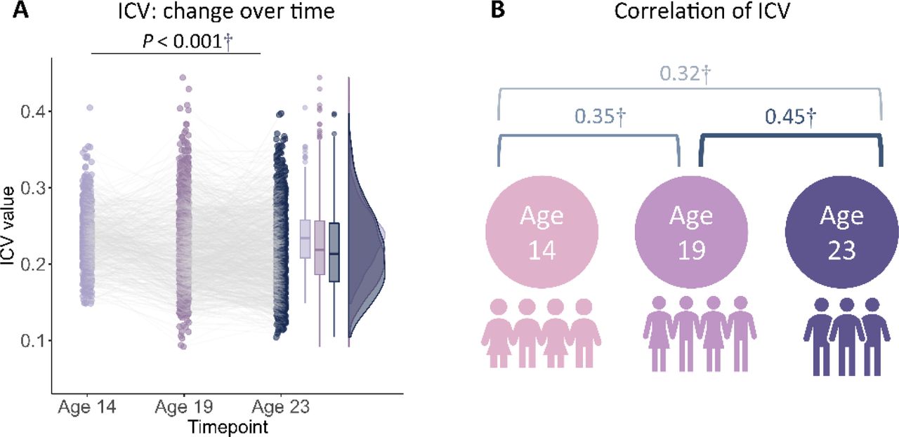 Intra-individual coefficient of variation (ICV) changes over time. (A) ICV changes over time. (B) Correlation of ICV between timepoints within subjects. †, P < 0.001