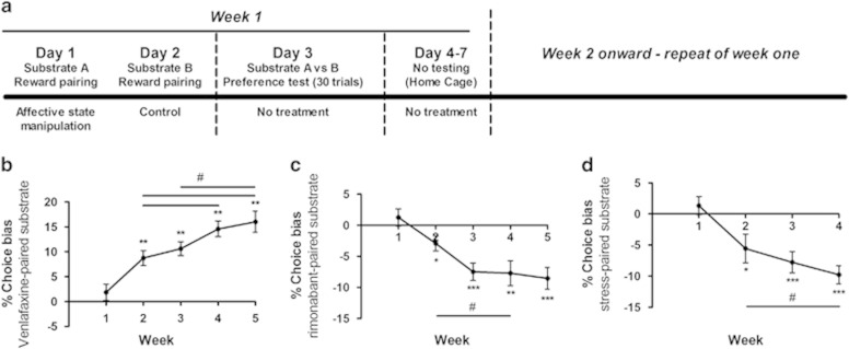 Affective biases amplify with additional learning experiences. Utilizing a modified protocol (a), the effects of additional substrate–reinforcer pairing sessions were investigated. The effects of venlafaxine (b) treatment further amplified when the number of substrate–reinforcer pairing sessions was increased. The effects were significant from week 2 onward, consistent with the standard protocol (Figure 1a), and this increased further with each successive postdrug encounter with the reinforcer-paired substrate. Using the same procedure the prodepressant drug treatment rimonabant (c) and psychosocial stress manipulation (d) were shown to induce a negative bias that also amplified with each successive experience. Data shown as mean±SEM, n=15–16. Data analyzed using repeated measures ANOVA, *p<0.05, **p<0.01, ***p<0.001 vs theoretical mean of 0% choice bias, #p<0.05 paired t-test.