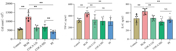 Cell count map of mouse BALF (left) and Expression of TNF-α (middle), IL-6 (right) in lung tissues (NSP > 0.05, **P < 0.01).