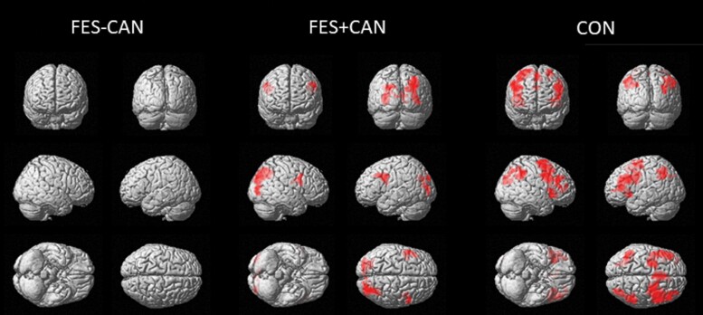 Within-group whole-brain maps of the CueB vs CueA contrast, significant clusters are displayed based upon a voxel level threshold of P < .001 and FWE cluster correction of P < .05. FES-CAN, cannabis never users with schizophrenia; FES+CAN, lifetime cannabis users with schizophrenia; CON, control never users.