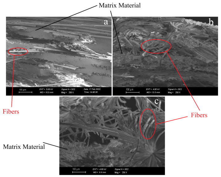 SEM images of the fracture surfaces of the composites after the tensile test. (a) Waste glass fiber-reinforced polymer composite; (b) flax fiber-reinforced composite; (c) hemp fiber-reinforced composite.