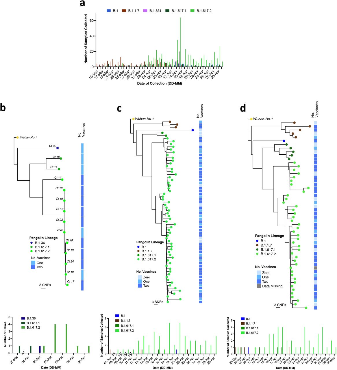 SARS-CoV-2 B.1.617.2 infection in vaccinated health care workers.a. Case frequencies of five most commonly occurring SARS CoV-2 lineages over a six week period from March to April 2021 for Delhi. b-d Maximum likelihood phylogenies of vaccine breakthrough SARS-CoV-2 sequences amongst vaccinated HCW at three centres are presented. Phylogenies were inferred with IQTREE2 with 1000 bootstrap replicates. Trees are rooted on Wuhan-Hu-1 and annotated with the lineage designated by pangolin v.2.4.2. The number of COVISHIELD (ChAdOx-1) vaccinations received by each individual is indicated by the heatmap to the right. White space indicates missing data. At the bottom of each tree is a case frequency graph by date of testing.