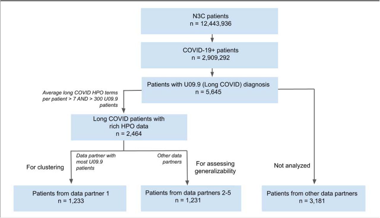 Cohort construction.Patients with long COVID (U09.9 diagnosis) were extracted from the much larger dataset of the N3C. Long COVID patients were selected from the five data partners that provided data for at least 300 U09.9 patients and had an average of at least 7 long COVID HPO terms per patient. The data partner with the most U09.9 patients (data partner 1) was chosen for clustering, and additional U09.9 patients from four other data partners (data partners 2-5) were chosen to assess generalizability.