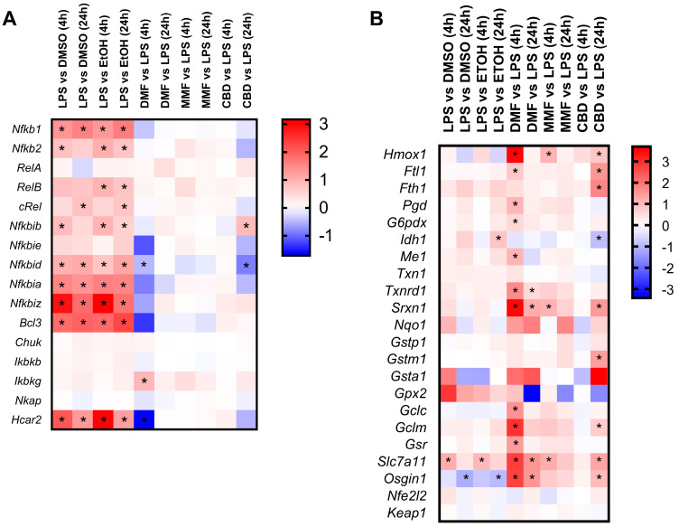 Transcriptomic modulation of the NF-kB and Nrf2 pathways in the lipopolysaccharide (LPS)-activated microglia cells treated with dimethyl fumarate (DMF), monomethyl fumarate (MMF), or cannabidiol (CBD). (A) Heat map representing the expression levels of genes related to the NF-kB pathway. (B) Heat map representing the expression levels of genes related to the Nrf2 pathway. (A,B) LPS-activated microglia cells were treated with 30 µM DMF, 30 µM MMF, 6 µM CBD, or their respective vehicles (DMSO or EtOH) for 4 and 24 h. The gene expression levels are represented with the log2 of the fold change (FC), indicating the ratio of the gene expression in the LPS-treated cells compared to the vehicle or drug-treated cells compared to LPS. * p-adj < 0.05.