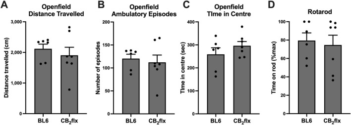 Bar charts showing different behavioral metrics for BL6 and CB2flx groups. Chart A compares the distance traveled in open field. Chart B displays the number of ambulatory episodes, similar for both groups. Chart C examines time spent in the center. Chart D evaluates time on a rotarod, with comparable results across both groups. Each chart includes individual data points.