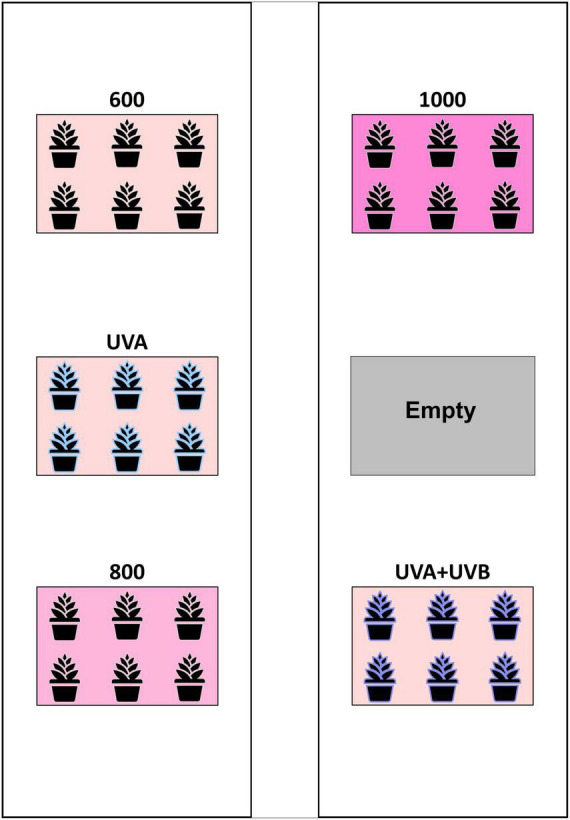 Schematic of the layout of treatment plots within each enclosure. The arrangement of the five treatments was randomized within the six plot locations in each enclosure (i.e., block) with the sixth plot in each block remaining empty.