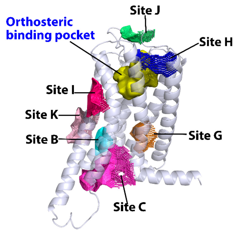 Predicted allosteric binding sites of CB2 by CavityPlus, Protein Allosteric and Regulatory Sites (PARS) and Sybyl-X. The orthosteric binding site was highlighted in yellow surface, while predicted allosteric sites are highlighted in dots.