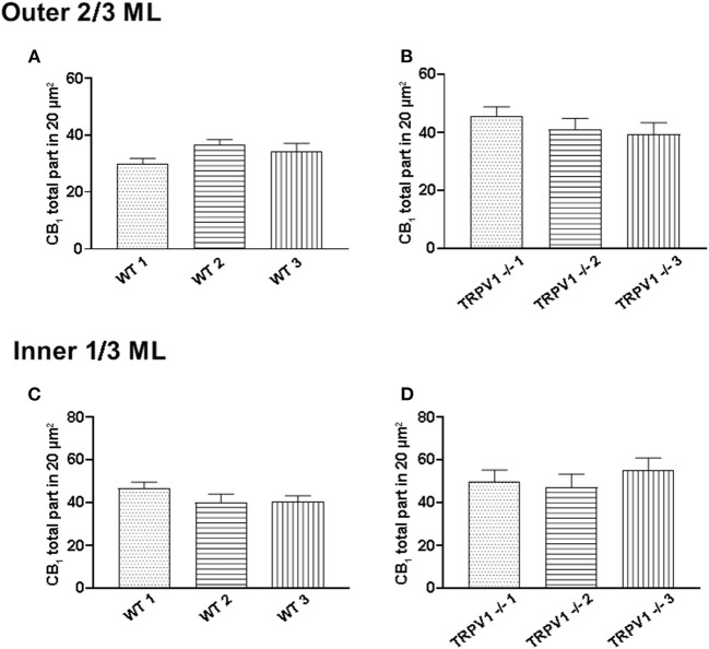 Assessment of sample uniformity in CB1R labeling in the outer 2/3 and inner 1/3 ML of WT and TRPV1−/− mice. (A,C) The total number of CB1R particles per 20 μm2 was similar in the 3 WT mice (p < 0.05; Kruskal-Wallis test). (B,D) The same applied for the 3 TRPV1−/− mice (p < 0.05; Kruskal-Wallis).