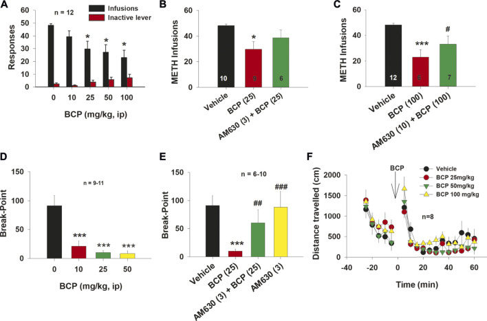The effect of BCP on METH self-administration under FR2 and progressive-ratio reinforcement schedules in rats. (A): Administration of BCP dose-dependently decreased the number of METH self-infusions. (B): Pretreatment with AM630 (3 mg/kg) blocked BCP (25 mg/kg)-induced reduction in METH self-administration. (C): Pretreatment with AM630 (10 mg/kg) also blocked the attenuating effects of BCP (100 mg/kg) on METH self-administration. (D): BCP dose-dependently reduced the break-point level for METH self-administration under PR reinforcement conditions. (E): Pretreatment with AM630 (3 mg/kg) blocked BCP’s action under PR reinforcement conditions (25 mg/kg), while AM630 (3 mg/kg) alone failed to alter the break-point for METH self-administration. (F): BCP, at 25, 50 and 100 mg/kg, did not alter open-field locomotor activity in rats. Data are presented as means ± SEM. *p < 0.05, ***p < 0.001, when compared to the vehicle group. # p < 0.05, ## p < 0.01; ### p < 0.001, compared to “BCP (25)” or “BCP (100)” groups.
