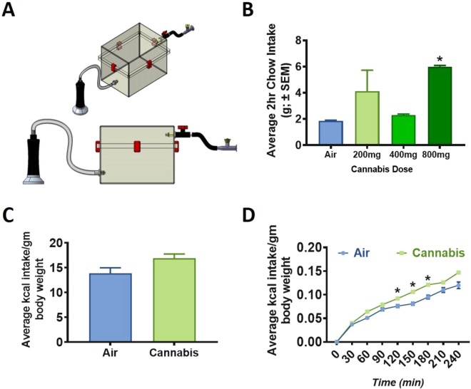 Cannabis Vapor Chamber Design, Feeding Dose Response, and Enhanced Hedonic Feeding. (A) Vaporized cannabis was delivered to a positive ventilated rat chamber (Allentown, box dimensions 14 in x 10 in x 7 in; lid dimensions 14 in x 10 in x 2.5 in) via plastic tubing affixed to the VapirRise 2.0 (Vapir, CA) with a plastic 3D-printed union and the cage with a custom designed port. A fan on the vaporizer drives aerosolized cannabis into the chamber during testing at a flow rate of less than 1 L/min. Vaporized cannabis is exhausted with a house vacuum system and chambers were thoroughly cleaned with 70% ethanol between sessions. A plastic stopcock controls the flux of air into and out of the chamber. (B) A one-way ANOVA indicated that free-feeding rats receiving 800 mg of cannabis vapor displayed increased feeding behavior (F1,14 = 12.6511, p = 0.0032). In contrast, food intake in rats that received 200 or 400 mg of cannabis vapor did not differ significantly from air-exposed controls. (C) 2 hr re-feeding on chow prior to air or cannabis exposure did not differ between groups. (D) Following behavioral satiation, cannabis exposure led to significantly increased cumulative consumption of Ensure indicating that this manipulation augmented hedonic feeding behavior. Ensure intake in cannabis exposed rats was significantly different from air-exposed rats at 120 min (F1;14 = 4.642, p = 0.0491), 150 min (F1;14 = 8.0542, p = 0.0132), and 180 min (F1;14 = 5.6319, p = 0.0325). There were no significant differences in Ensure intake before or after these time points.