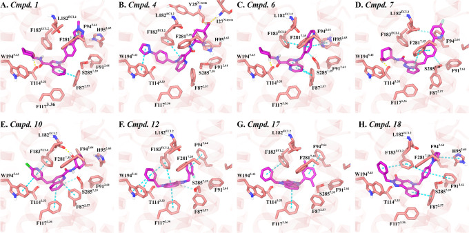 Key interactions between the M1R PAMs docked within the CB2R orthosteric binding pocket. Key interacting residues for (A) Compound 1, (B) Compound 4, (C) Compound 6, (D) Compound 7, (E) Compound 10, (F) Compound 12, (G) Compound 17, and (H) Compound 17, all docked into the orthosteric site of CB2R (PDB ID: 8GUR or 6PT0). Color coding is consistent with that in Figure