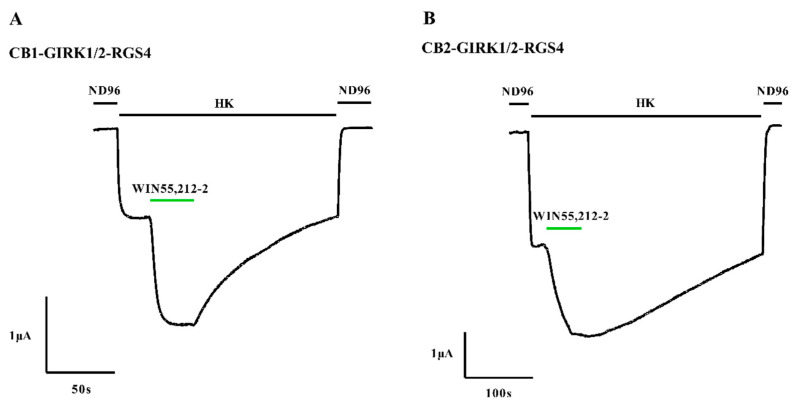 Activation of the CB-GIRK1/2-RGS4 coupling in Xenopus oocytes. (A) Oocytes co-injected with CB1, GIRK1/2, and RGS4, and (B) oocytes co-injected with CB2, GIRK1/2, and RGS4 were voltage-clamped at −90 mV. IK,basal was enhanced by exchanging HK to HK plus 1 μM WIN55,212-2. Typical IK,basal and IK,WIN were recorded from three to six different oocytes (n = 3–6).
