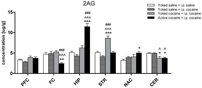 Levels of 2-arachidonoylglycerol (2-AG) in brain structures in rats previously self-administered cocaine (14 days) (Active cocaine) or which passively received cocaine (Yoked cocaine) or saline (Yoked saline) and underwent extinction training (10 days) and drug-induced reinstatement (10 mg/kg cocaine i.p. or saline i.p.). N = 7–8 rats/group. All data are expressed as the means ± SEM. * p < 0.05, ** p < 0.01, *** p < 0.001 vs. Yoked saline + saline i.p.; ^ p < 0.05, ^^ p < 0.01, ^^^ p < 0.001 vs. Yoked saline + cocaine i.p.; # p < 0.05, ## p < 0.01, ### p < 0.001 vs. Yoked cocaine + cocaine i.p. A description of the abbreviations has been placed under Figure 2.