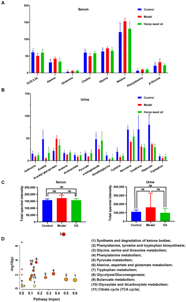 Differential metabolites associated with aging. (A,B) Relative levels of differential metabolites related to aging in serum and urine of rats. Error bars indicated the mean ± SD (n = 6). * represents p < 0.05 compared with the model group. (C) Total spectral intensity. Values are presented as mean ± standard deviation (SD), n = 6 per group. ns: not significant. (D) Summary of pathway analysis with MetaboAnalyst. (1) Synthesis and degradation of ketone bodies; (2) Phenylalanine, tyrosine and tryptophan biosynthesis; (3) Glycine, serine and threonine metabolism; (4) Phenylalanine metabolism; (5) Pyruvate metabolism; (6) Alanine, aspartate and glutamate metabolism; (7) Tryptophan metabolism; (8) Glycolysis/Gluconeogenesis; (9) Butanoate metabolism; (10) Glyoxylate and dicarboxylate metabolism; (11) Citrate cycle (TCA cycle).