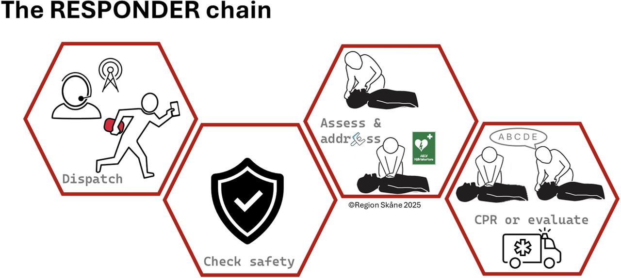 The RESPONDER chain(1) Trained community first responders (CFR) with naloxone are dispatched by the Swedish emergency medical dispatch service to suspected opioid overdoses, in addition to out-of-hospital cardiac arrests, (2-4) CFR arrives and follows the study-specific naloxone algorithm