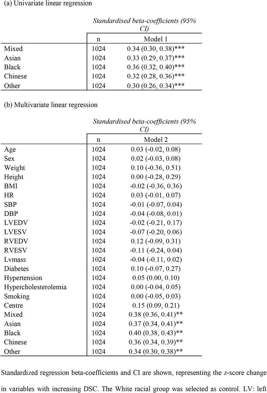 Associations between average DSC and racial group.