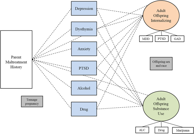 Results of structural equation model testing whether parent individual symptoms mediate the relationship between childhood maltreatment and two-factor adult offspring psychopathology construct (internalizing and substance use). Note. Rectangles represent observed variables; ovals represent latent variables on which psychopathology scores have been regressed. Teenage pregnancy was controlled for on the paths leading to parent psychopathology. Offspring sex and race were controlled for on paths leading to the outcome variables. Model fit indices were poor; therefore, we did not interpret the p-values for each path.