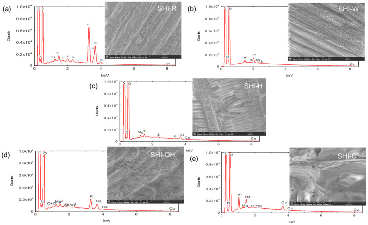 Elemental analysis using EDX spectra and SEM images of untreated SHI-R (a) and treated SHI-W, SHI-H, SHI-OH and SHI-C (b–e) hemp shives.