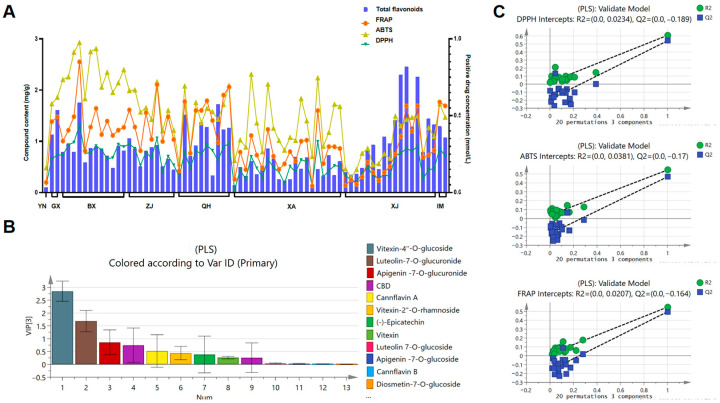 Analysis results of correlation between antioxidant activity and compound content. (A) Total flavonoid content and antioxidant activity; (B) VIP values for PLS analysis of the main flavonoids and cannabinoids compounds and their antioxidant activity; (C) Results of permutation test on PLS model. (YN: Yunnan sample; BX: Sichuan Baoxing sample; ZJ: Sichuan Zhaojue sample; GX: Guangxi Nanning sample; XA: Shaanxi Xi’an sample; IM: Inner Mongolia Hohhot sample; QH: Qinghai Xining sample; XJ: Xinjiang Kashgar sample).