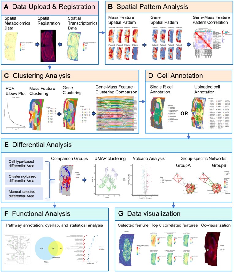 For image description, please refer to the figure legend and surrounding text.