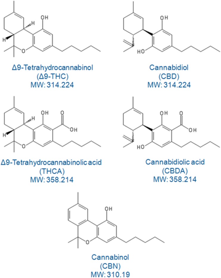 Structures of five cannabinoids commonly studied for potency