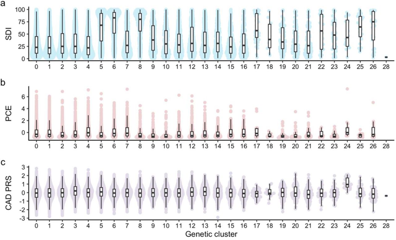 Geographical, socioeconomical, distributions of genetic clustersDistributions of socioeconomic (a), clinical (b), and genetic risks (c). Each dot indicates MGBB participants. The horizontal axes show genetic cluster. SDI, social deprivation index; PCE, pooled cohort equation, CAD PRS, polygenic risk score for coronary artery disease.