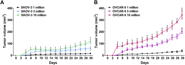 (A)Difference in ovarian SKOV-3 and OVCAR-5 cancer ectopic xenograft tumor growth following 1, 3 and 10 × 106 cells subcutaneous administration in immunocompromised SCID-SHO female mice. (B)Increase in tumor growth was shown following administration of 10 million ovarian (OVCAR-5) cancer cells relative to 1 or 3 million in immunocompromised SCID-SHO female mice. Symbols represent the means ± SEM. (1 million, n = 8 for SKOV3, n = 11 for OVCAR5 in SCID-SHO females; 3 million, n = 6 for SKOV3, n = 9 for OVCAR5 in SCID-SHO females; 10 million, n = 8 for SKOV3, n = 10 for OVCAR5 in SCID-SHO females). *p < 0.037 for SKOV-3 10 or 3 million vs SKOV-3 1 million (repeated measures one-way ANOVA with Bonferroni post hoc); + p < 0.044 for SKOV-3 10 million vs SKOV-3 3 million (repeated measures one-way ANOVA with Bonferroni post hoc); ^ p < 0.02 for OVCAR-5 10 or 3 million vs OVCAR-5 1 million (repeated measures one-way ANOVA with Bonferroni post hoc; #p < 0.011 for OVCAR-5 10 million vs OVCAR-5 3 million (repeated measures one-way ANOVA with Bonferroni post hoc).