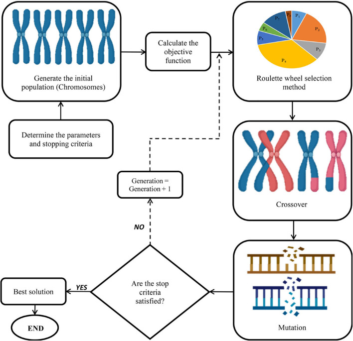 A schematic representation of genetic algorithm (GA).