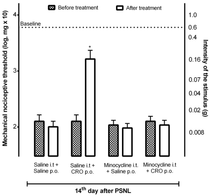 Contribution of microglia to the analgesic effect of crotalphine. Mice that underwent the partial sciatic nerve injury (PSNL) surgery, on the 14th day after surgery, were treated with minocycline i.t. and/or crotalphine (CRO) p.o. The nociceptive threshold was assessed using von Frey filaments. The results represent the group mean (±SEM). n = 5–6. * p < 0.05 indicates a statistically significant difference in relation to the PSNL + Saline i.t. + Saline p.o. The two-way ANOVA test was used followed by the Sidak test.