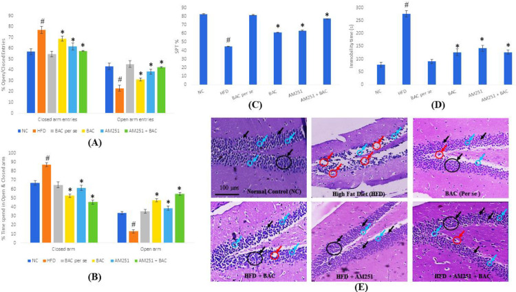 Describes the effect of BAC and AM251 on neurobehavioral parameters including the percentage of open and closed entries (A), percentage of time spent in the open and closed arm (B), percentage of sucrose preferences test (C), and time duration of immobility during FST (D). All values were expressed as mean ± SD whereas, ‘#’ represents P<0.001 vs Normal Control; ‘*’ represents P<0.001 vs HFD-fed group. (E) Reveals the histology of small pyramidal cells of the hippocampus (CA1) region with vesicular nuclei in diverse groups of treatments using an inverted microscope (Cosmo Laboratory Equipment). The black arrow shows granule cells of the dentate gyrus. The red arrow shows vacuolization and cell death, and the blue arrow shows glial cells