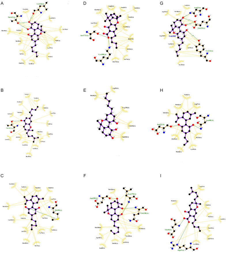 “Complexes of top molecules with proteins: (A) L1R-CBT, (B) L1R-Cannabichromene, (C) L1R-Cannabinodiol, (D) E8L-Cannabicyclolic acid, (E) E8L-CBT, (F) E8L-Cannabitriol, (G) H3L-trans-CBT, (H) Cannabinodivarin, (I) Cannabichromenic acid. Hydrophobic in yellow, H-bonds in green. ”