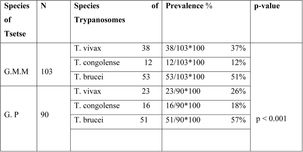 Prevalence of Trypanosomes Distribution