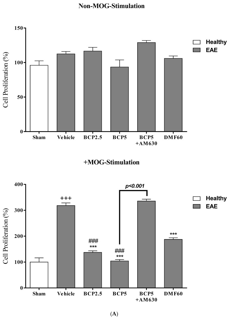 The effects of DMF (60 mg/kg; 30 mg/kg twice a day; p.o.), BCP (2.5, 5 mg/kg/day; p.o.), and the combination of a CB2 antagonist AM630 (1 mg/kg; i.p.) with BCP (5 mg/kg/day; p.o.) on the levels of cell proliferation, anti-inflammatory and inflammatory cytokines of microglia separated from EAE mice; (A) Cell proliferation; (B) TNF-α; (C) PGE2; and (D) IL-10. Data were presented as Mean ± SEM, n = six animals per group for each experiment protocol. Two-way ANOVA and Tukey’s multiple comparisons test were performed. (*) indicates a comparison between varying doses of BCP or DMF groups to the vehicle group, ***: p < 0.001; (+) makes a comparison between the vehicle and sham groups, +: p < 0.05 and +++: p < 0.001; # in comparison to DMF group in each graph, #: p < 0.05 and ###: p < 0.001.