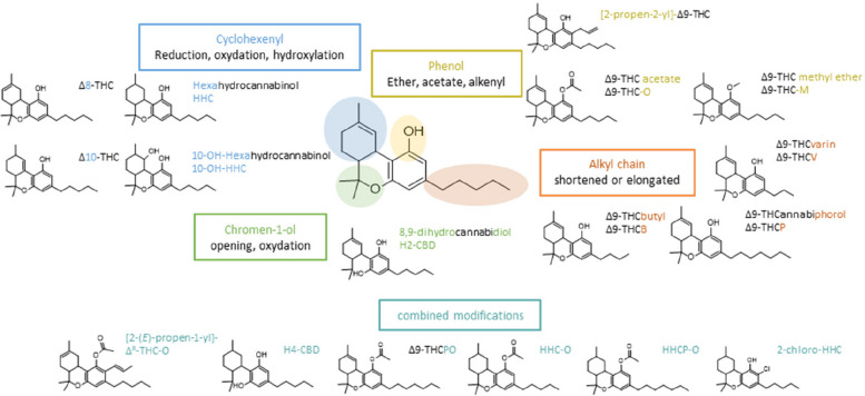 Semi-synthetic cannabinoids. Possible structural modifications compared to Δ9-THC on cyclohexyl, phenol, chromen-1-ol and/or alkyl chain functions leading to semi-synthetic cannabinoid derivatives