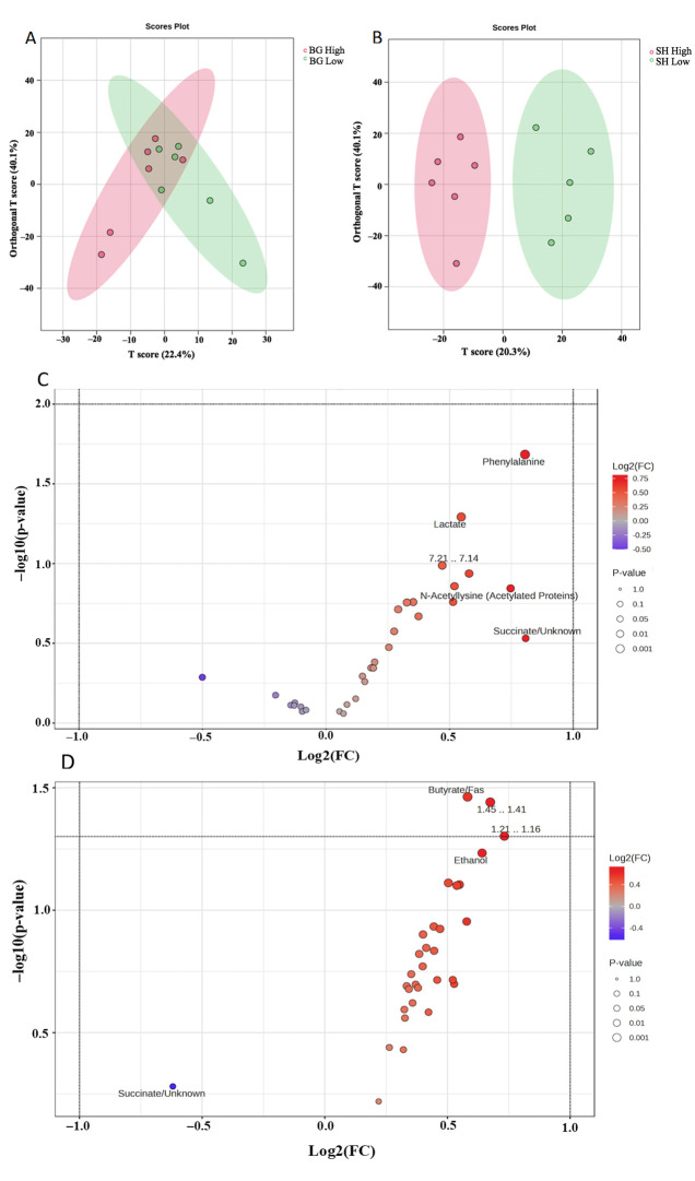 Orthogonal partial least squares discrimination analysis of high (>2000; red) vs. low (<2000; green) fecal egg counts of goats on Bermudagrass diet (A) or Sunn Hemp diet (B) using NMR data. One outlier sample from the Sunn Hemp diet was excluded from analysis. Volcano plots of goat fecal differential metabolites between Bermudagrass diet (C) or Sunn Hemp diet (D) using NMR data; n = 6 samples per group. Red dots indicate upregulation, and blue dots represent downregulated metabolites in goats with high parasite burden.