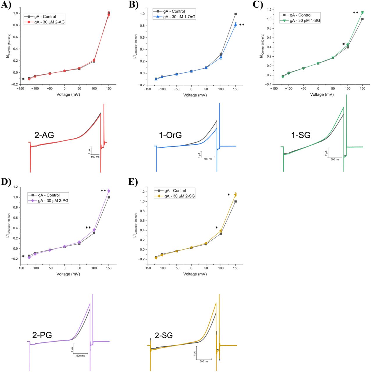 2-monoacylglycerols (2-MGs) effect on gramicidin currents (gA).(A-E) (top) Averaged cationic gramicidin currents before and after treatment with 2-AG, 1-OrG, 1-SG, 2-PG or 2-SG respectively. Test currents were averaged at -120 mV, -100 mV, -50 mV, 0 mV, +50 mV, +100 mV, and +150 mV. (below) Representative gA current traces before and after treatment with 2-AG, 1-OrG, 1-SG, 2-PG or 2-SG. Paired student t-test was used to determine I/Imax differences at -120, +100 and +150 mV (6 < n < 12; * = P < 0.05, ** = P < 0.01, *** = P < 0.001)